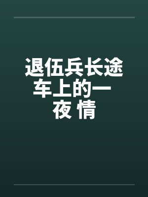 退伍兵长途车上的一 夜 情