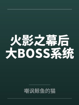 火影之幕后大BOSS系统