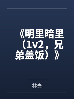 《明里暗里(1v2,兄弟盖饭)》笔趣阁无弹窗