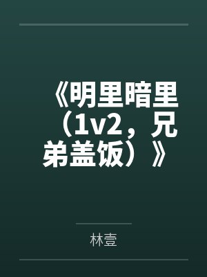 《明里暗里（1v2，兄弟盖饭）》笔趣阁无弹窗